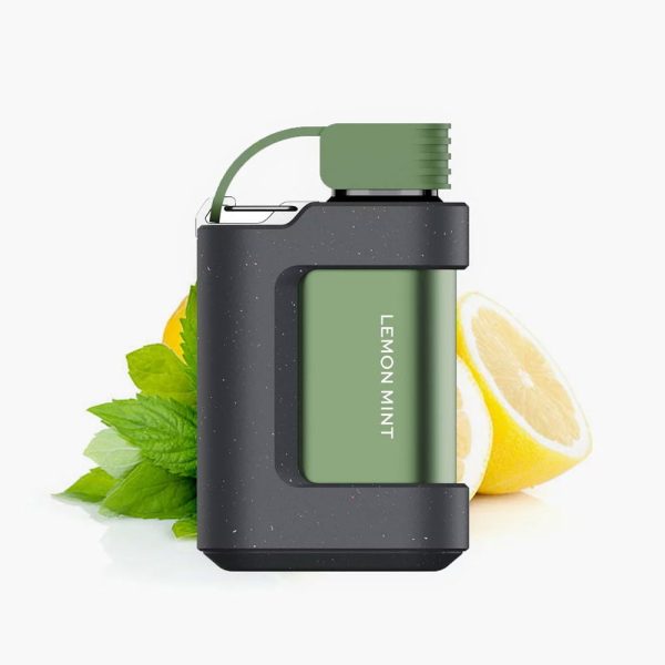 وزول ۷۰۰۰ لیمو نعناع (Lemon Mint)